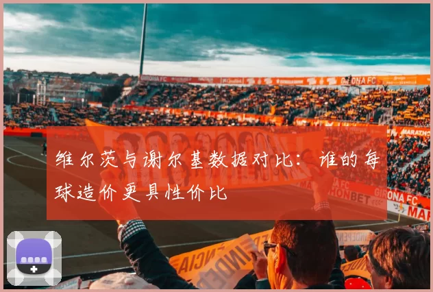 维尔茨与谢尔基数据对比：谁的每球造价更具性价比